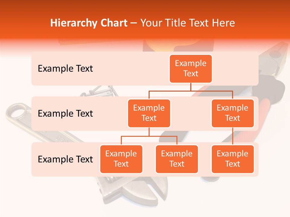Senior  Women Hold PowerPoint Template