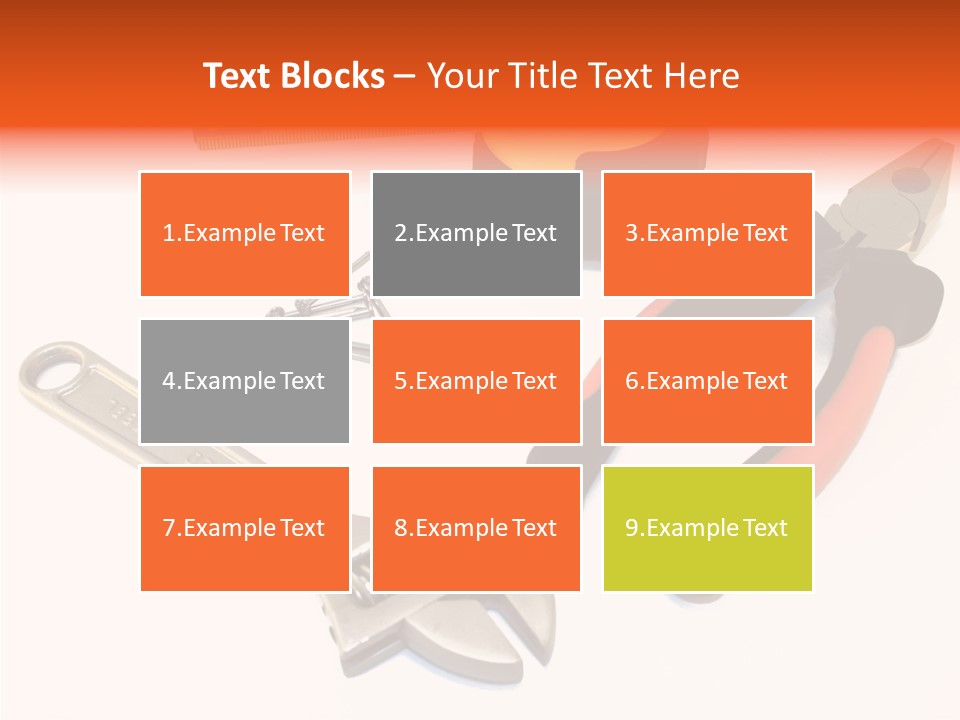 Senior  Women Hold PowerPoint Template