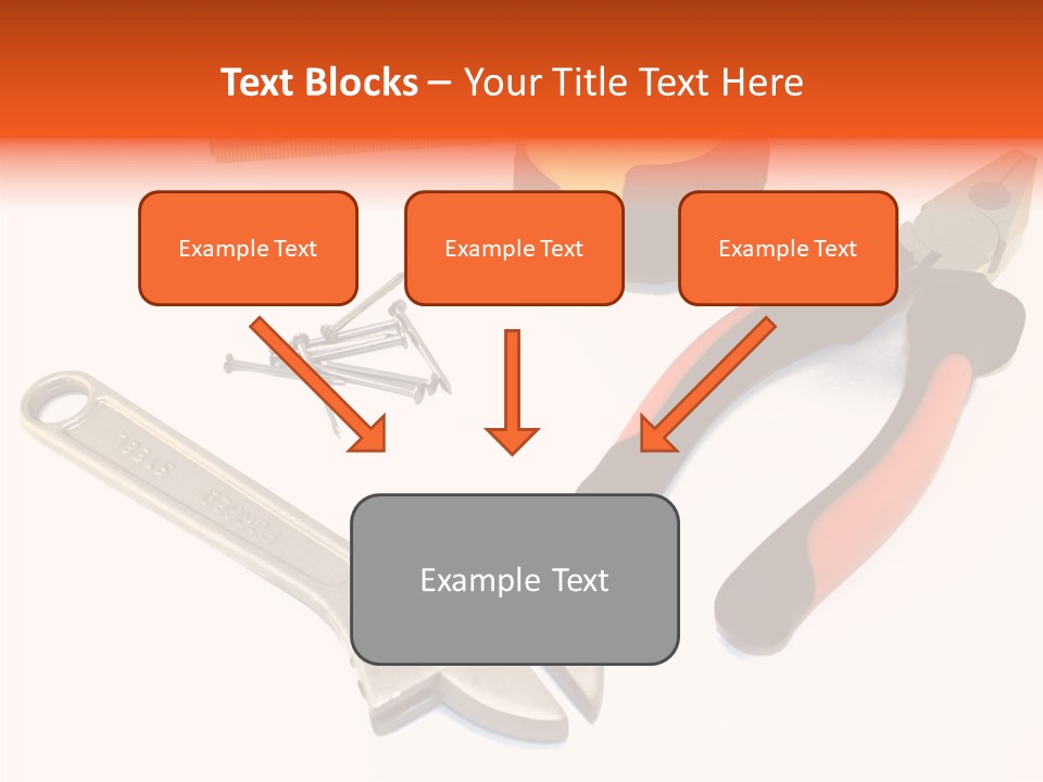 Senior  Women Hold PowerPoint Template