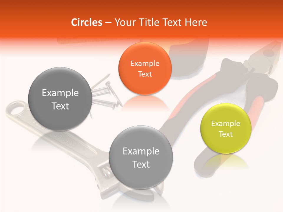 Senior  Women Hold PowerPoint Template