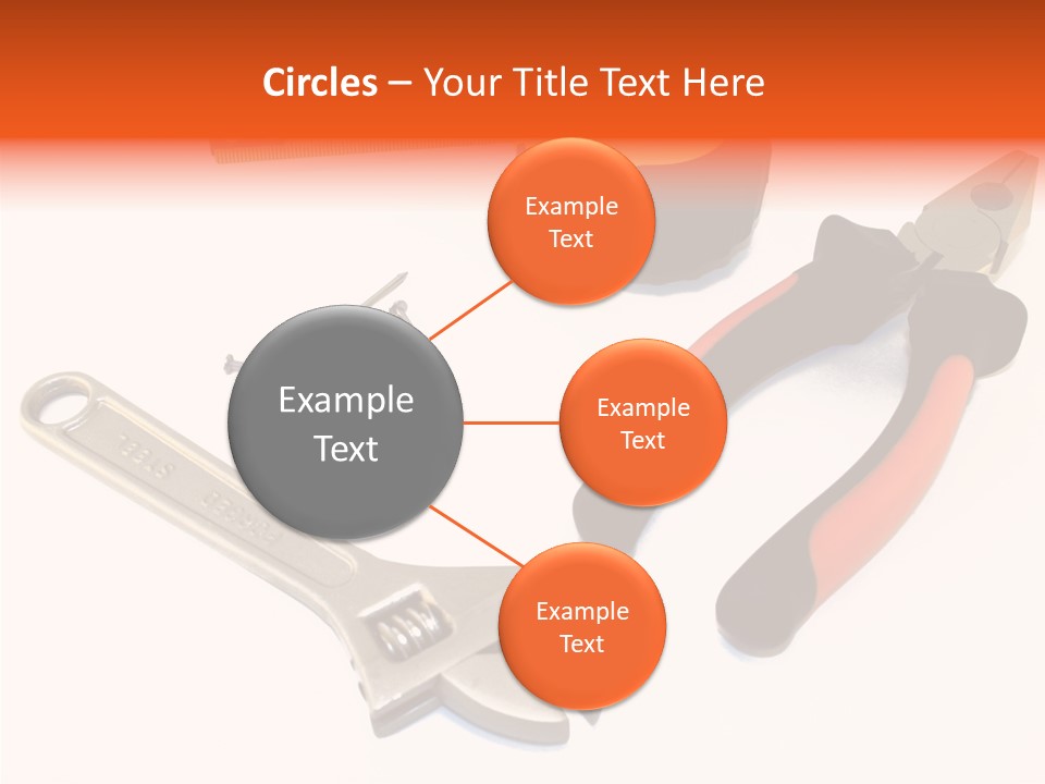 Senior  Women Hold PowerPoint Template