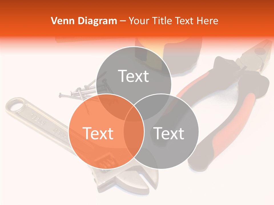 Senior  Women Hold PowerPoint Template