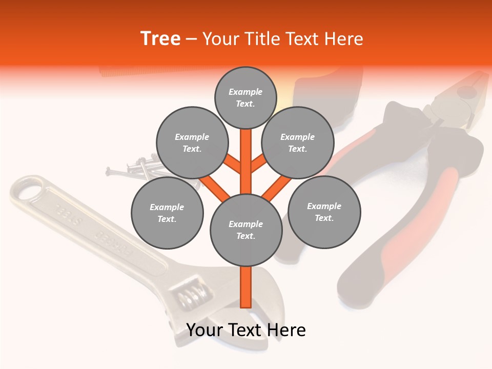 Senior  Women Hold PowerPoint Template