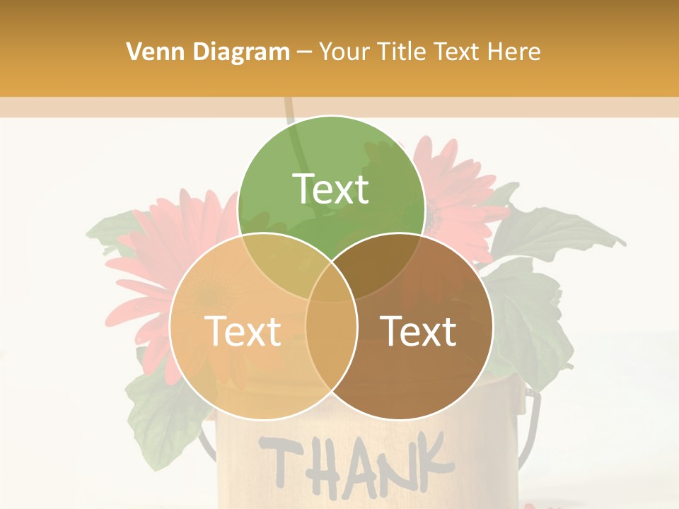 Closeup Elder Assist PowerPoint Template