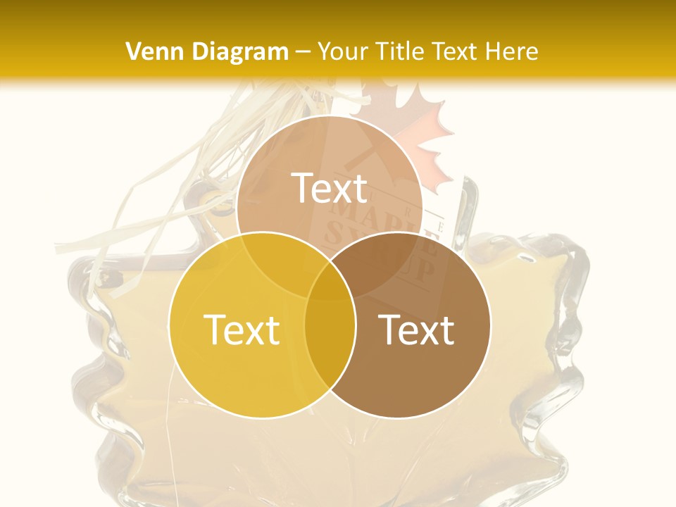 Hand  Aging PowerPoint Template