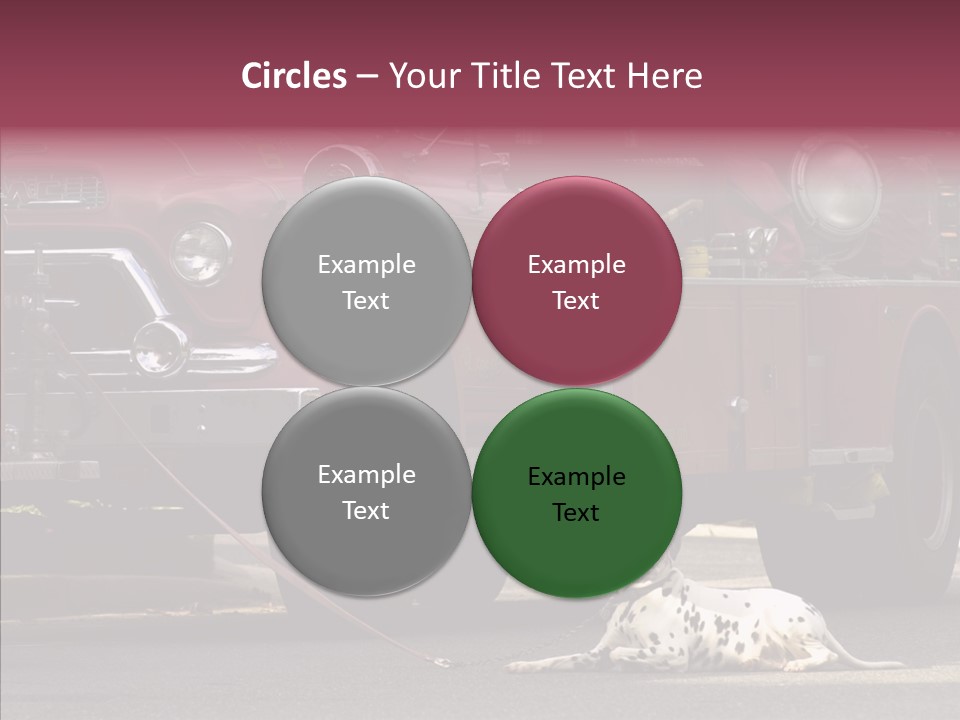 Female Human Senior PowerPoint Template