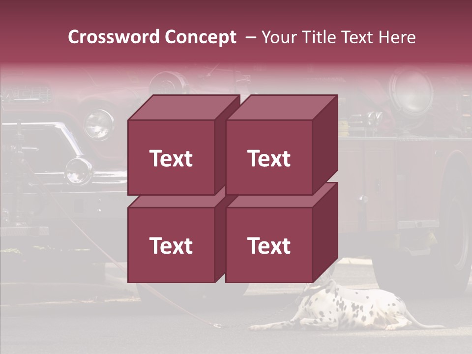 Female Human Senior PowerPoint Template