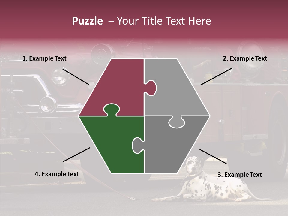 Female Human Senior PowerPoint Template