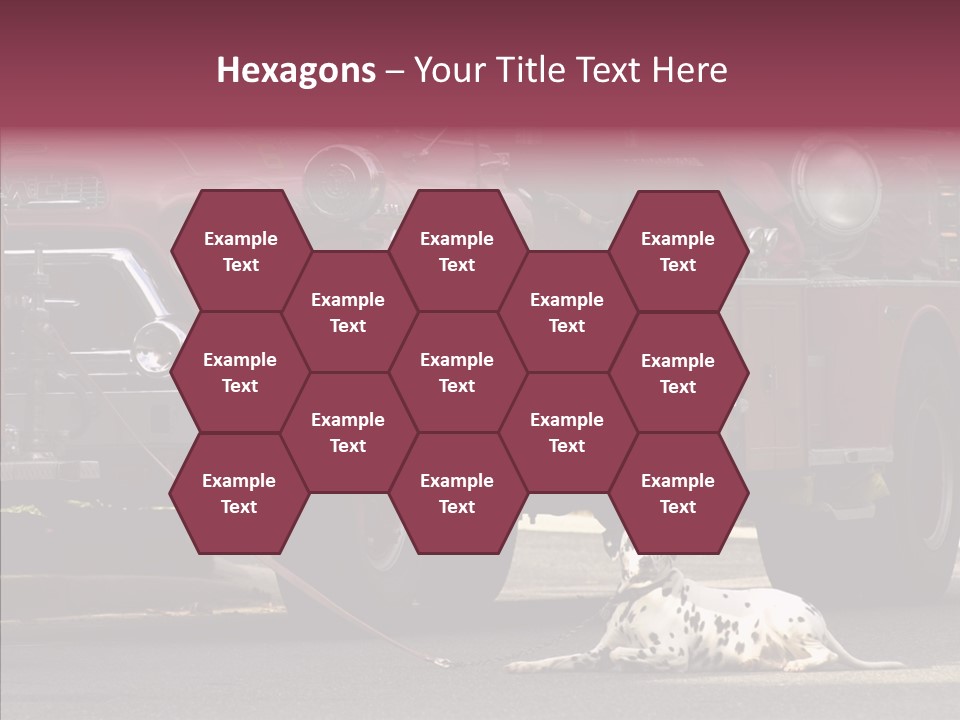 Female Human Senior PowerPoint Template