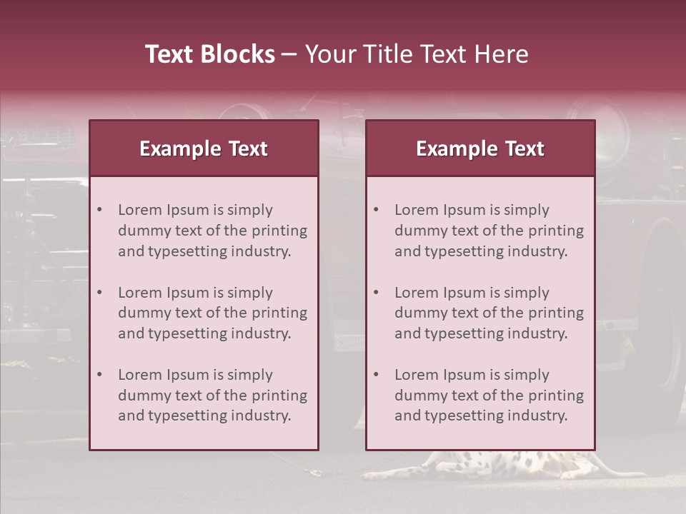 Female Human Senior PowerPoint Template