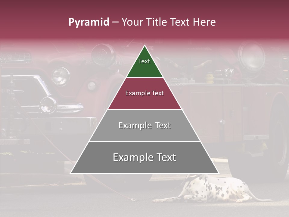 Female Human Senior PowerPoint Template