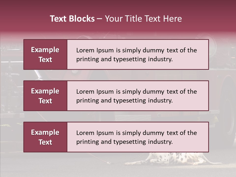 Female Human Senior PowerPoint Template