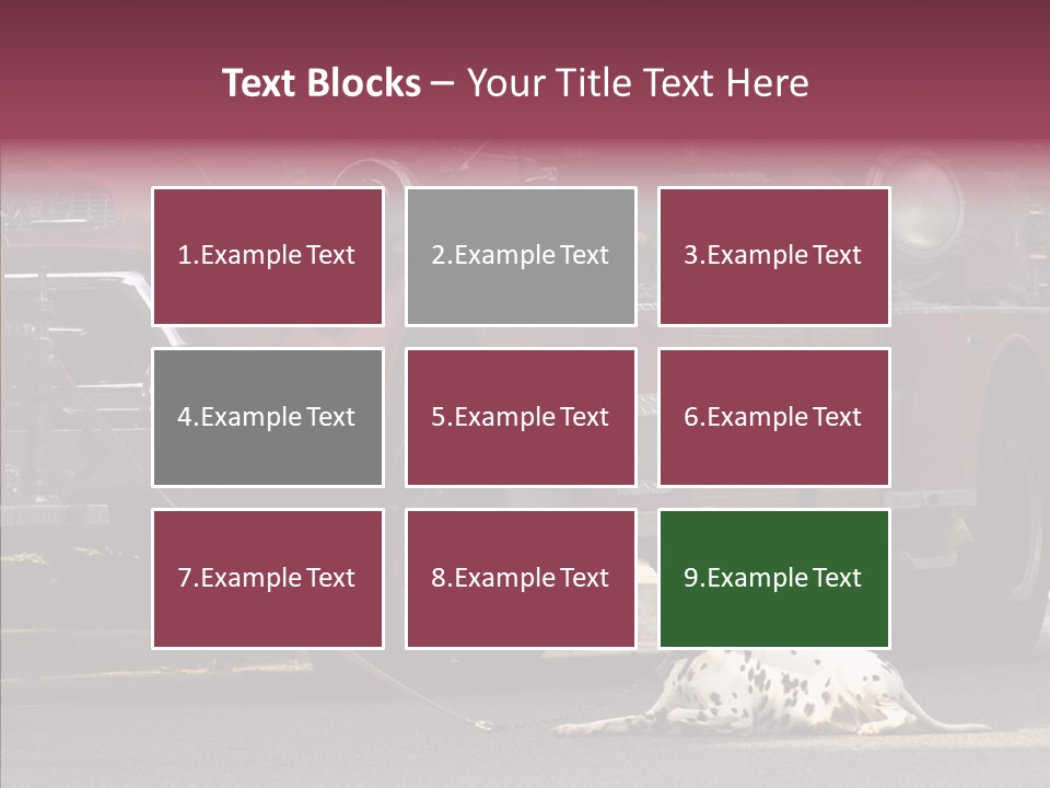 Female Human Senior PowerPoint Template