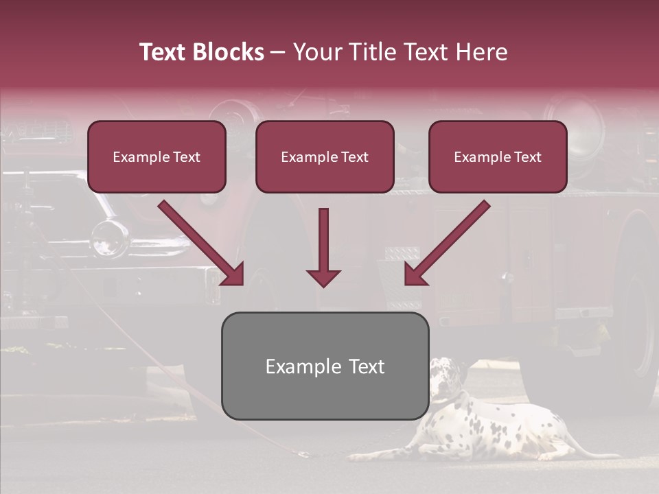 Female Human Senior PowerPoint Template