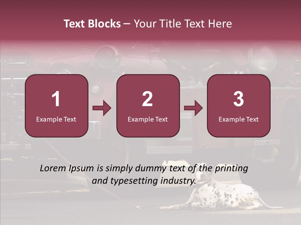 Female Human Senior PowerPoint Template