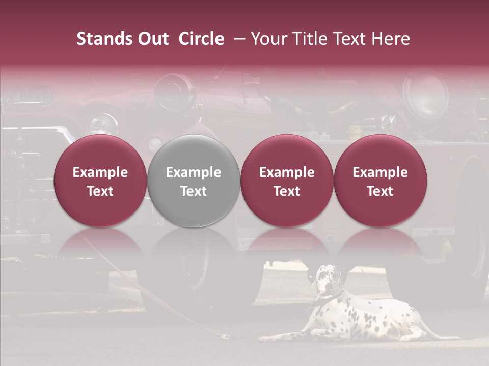 Female Human Senior PowerPoint Template