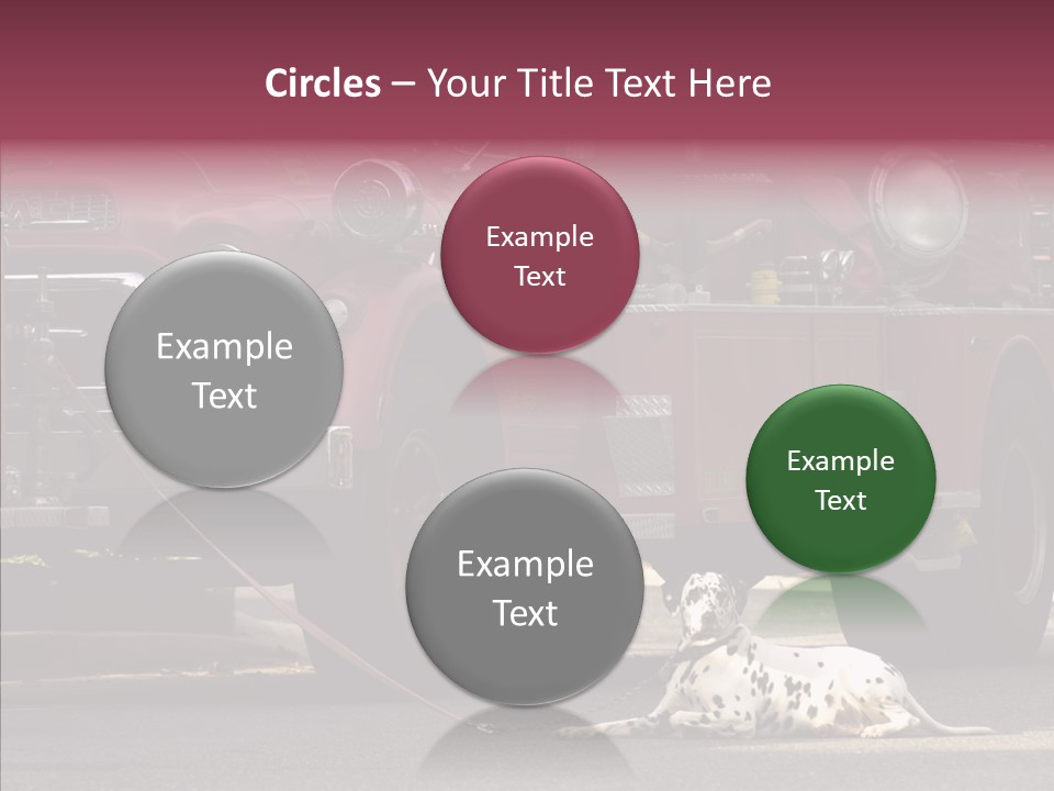 Female Human Senior PowerPoint Template