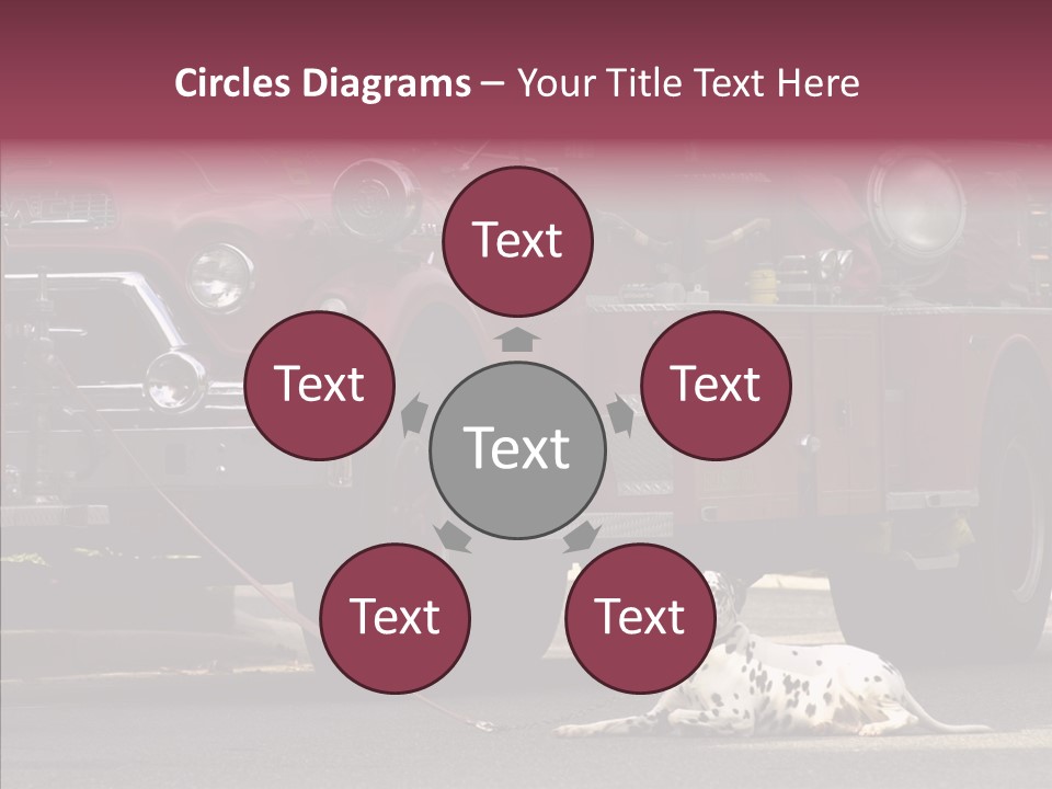 Female Human Senior PowerPoint Template