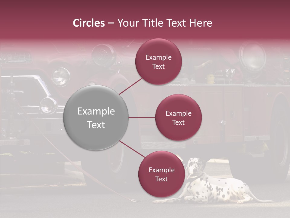 Female Human Senior PowerPoint Template