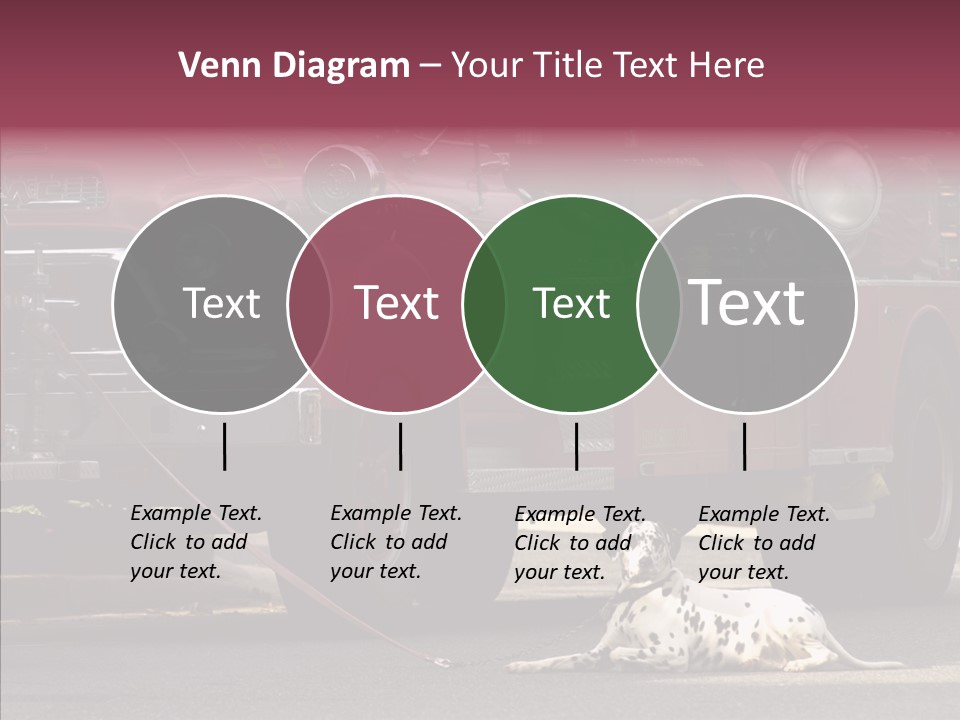 Female Human Senior PowerPoint Template