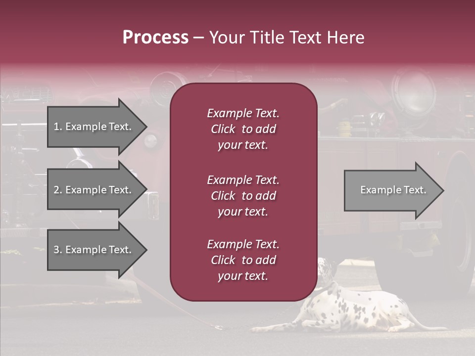 Female Human Senior PowerPoint Template