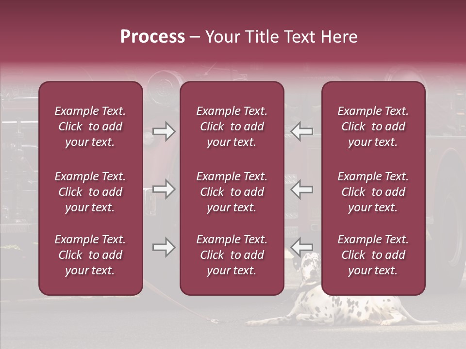 Female Human Senior PowerPoint Template