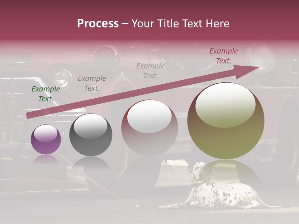 Female Human Senior PowerPoint Template