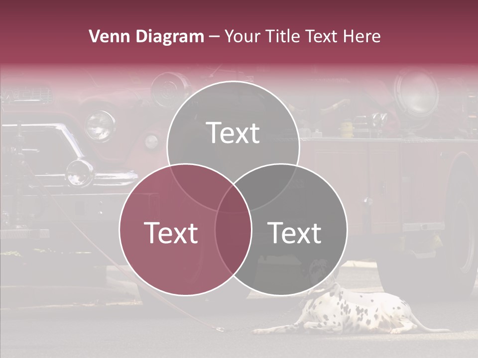 Female Human Senior PowerPoint Template