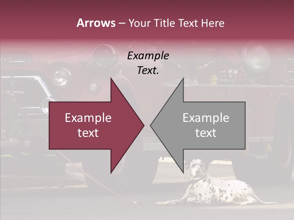 Female Human Senior PowerPoint Template