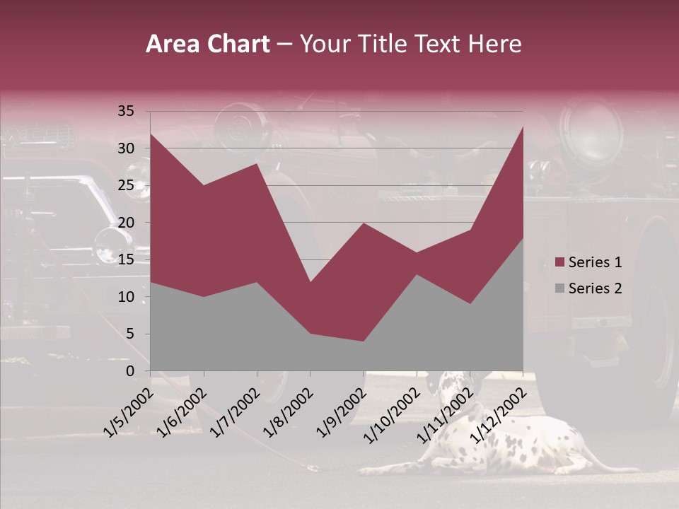 Female Human Senior PowerPoint Template