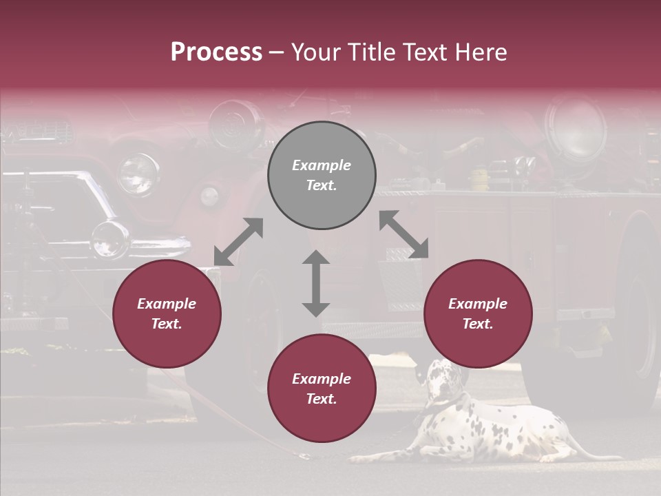 Female Human Senior PowerPoint Template