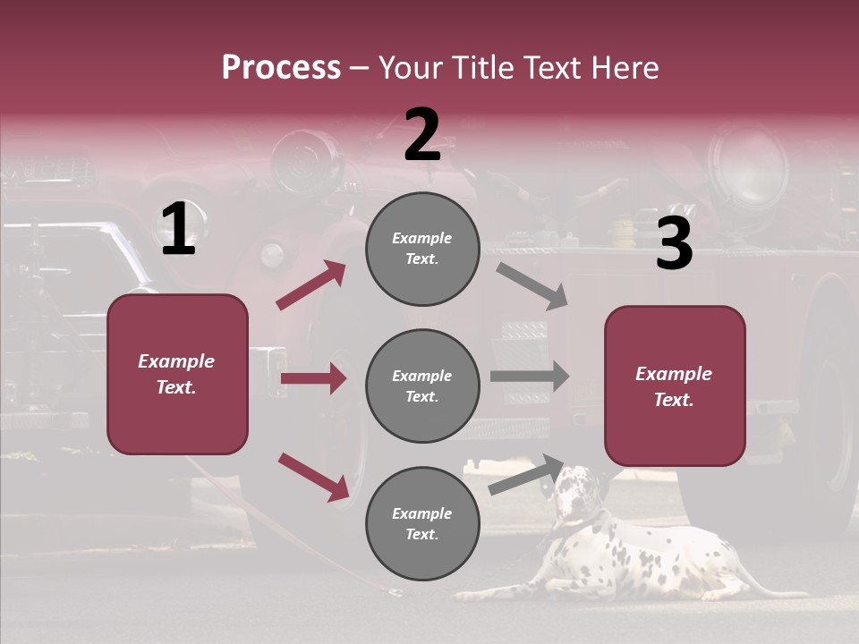 Female Human Senior PowerPoint Template