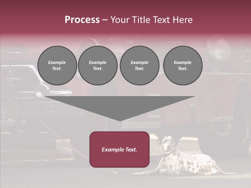 Female Human Senior PowerPoint Template