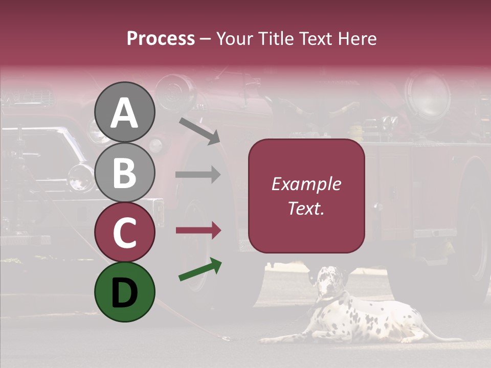 Female Human Senior PowerPoint Template