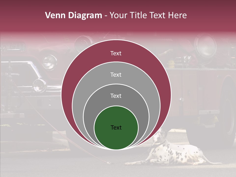 Female Human Senior PowerPoint Template