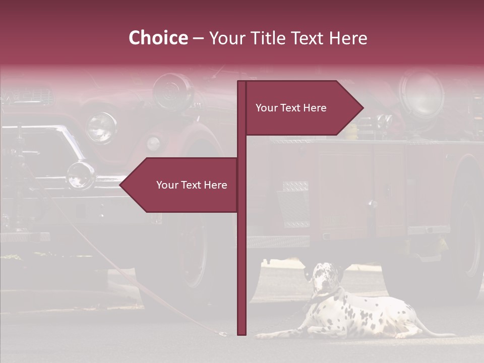 Female Human Senior PowerPoint Template