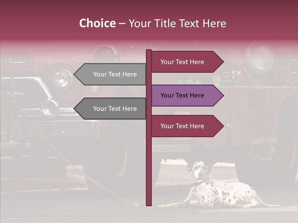 Female Human Senior PowerPoint Template