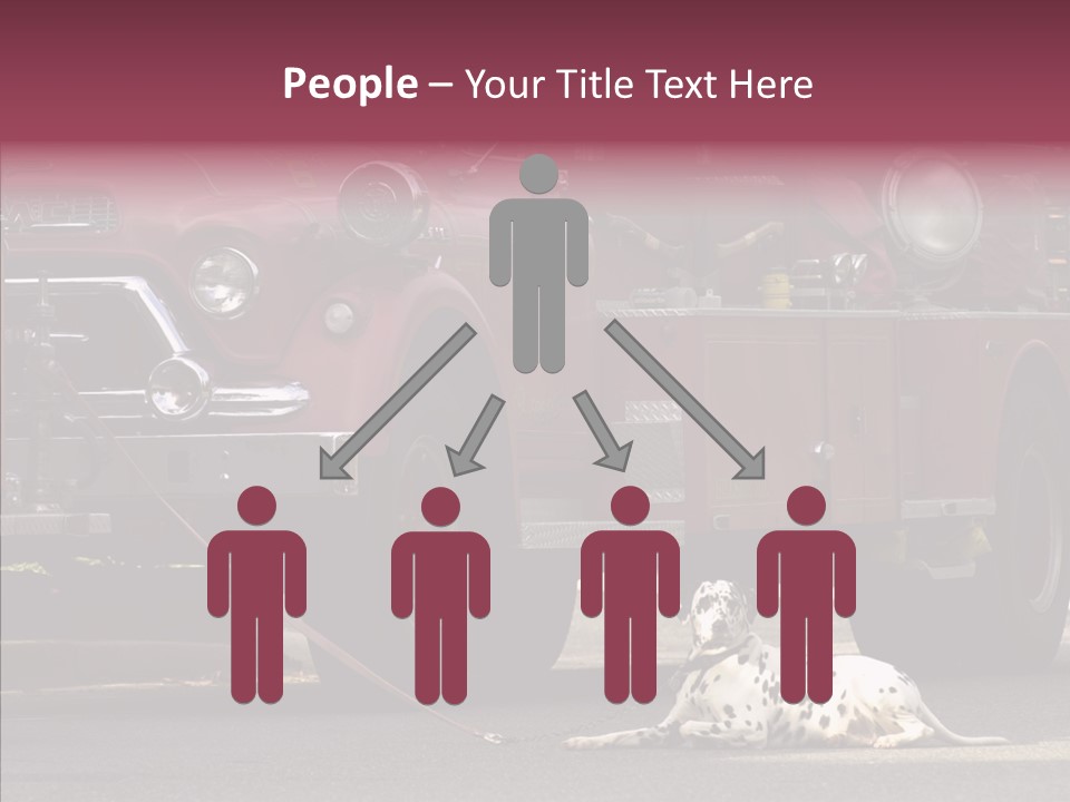 Female Human Senior PowerPoint Template