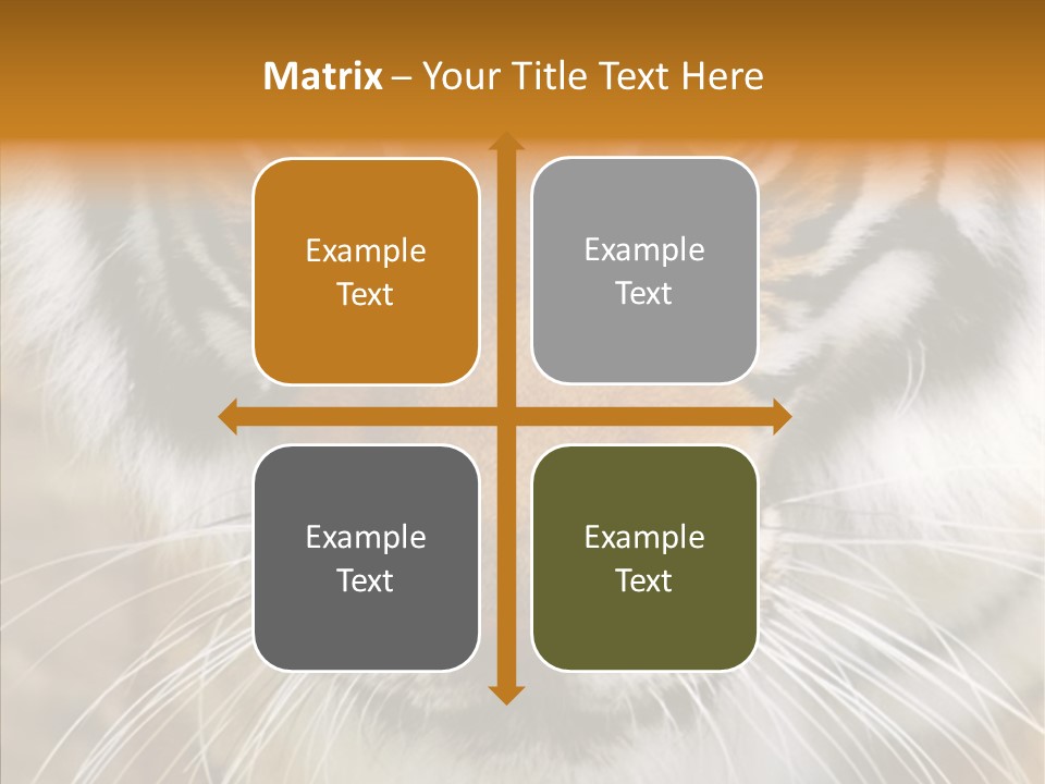 Grandmother Assist Help PowerPoint Template