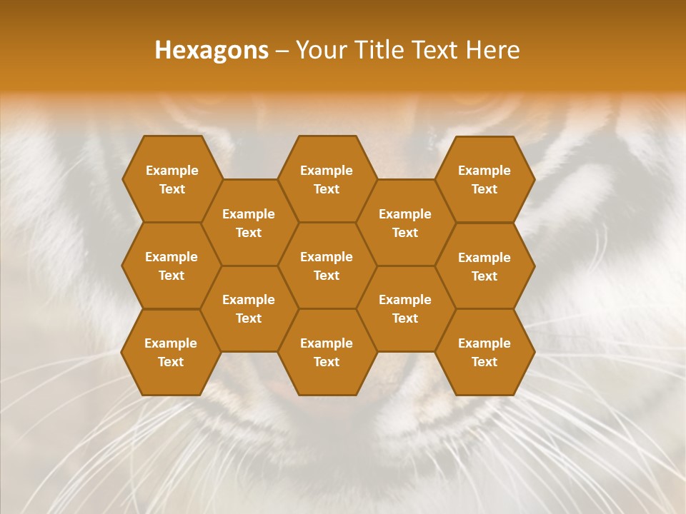 Grandmother Assist Help PowerPoint Template
