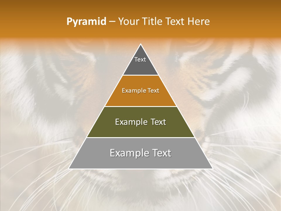 Grandmother Assist Help PowerPoint Template