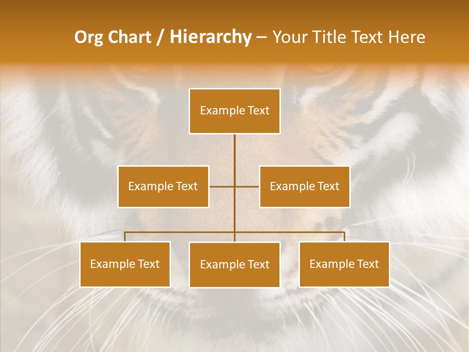 Grandmother Assist Help PowerPoint Template