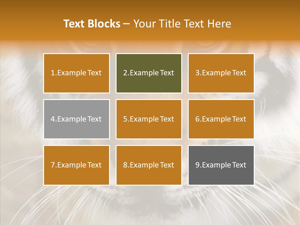 Grandmother Assist Help PowerPoint Template