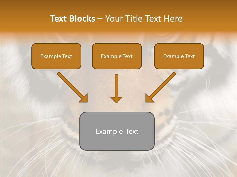 Grandmother Assist Help PowerPoint Template