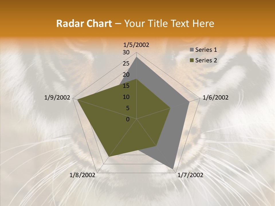 Grandmother Assist Help PowerPoint Template