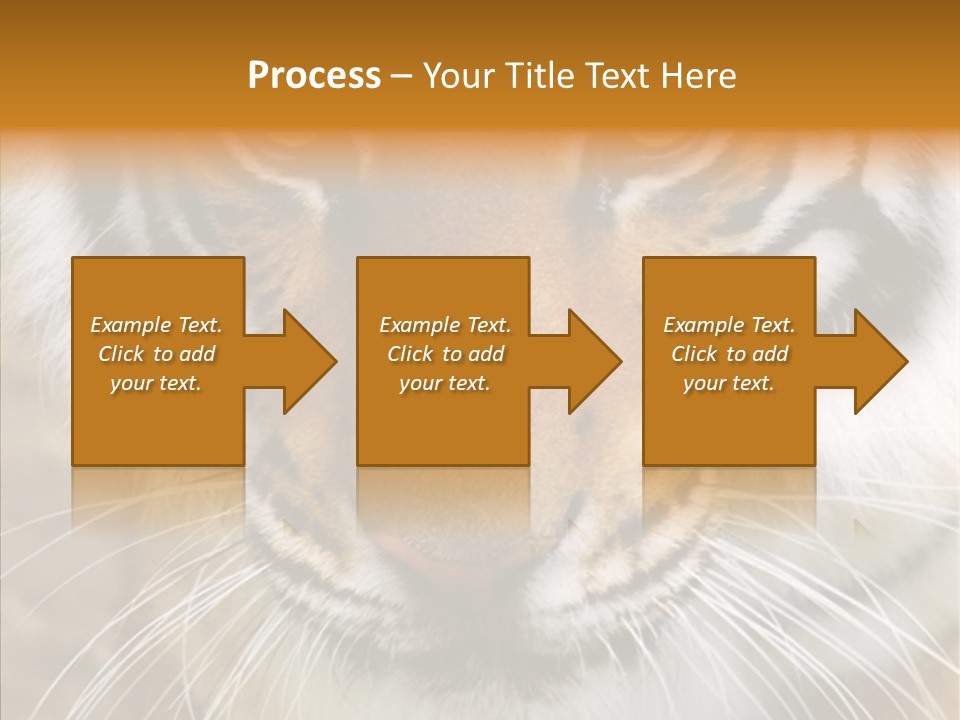 Grandmother Assist Help PowerPoint Template