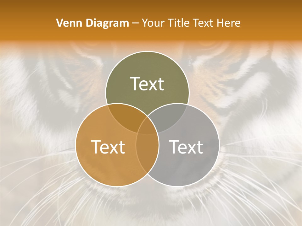 Grandmother Assist Help PowerPoint Template