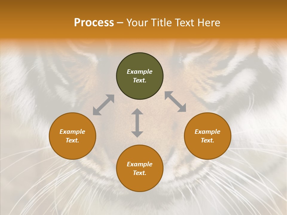 Grandmother Assist Help PowerPoint Template