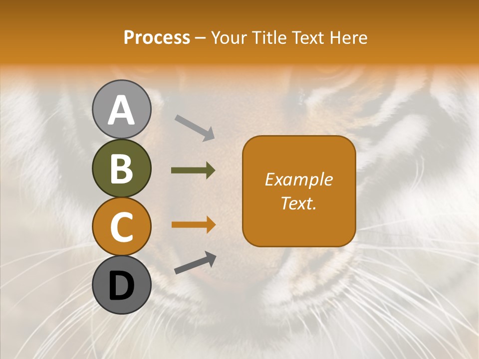 Grandmother Assist Help PowerPoint Template