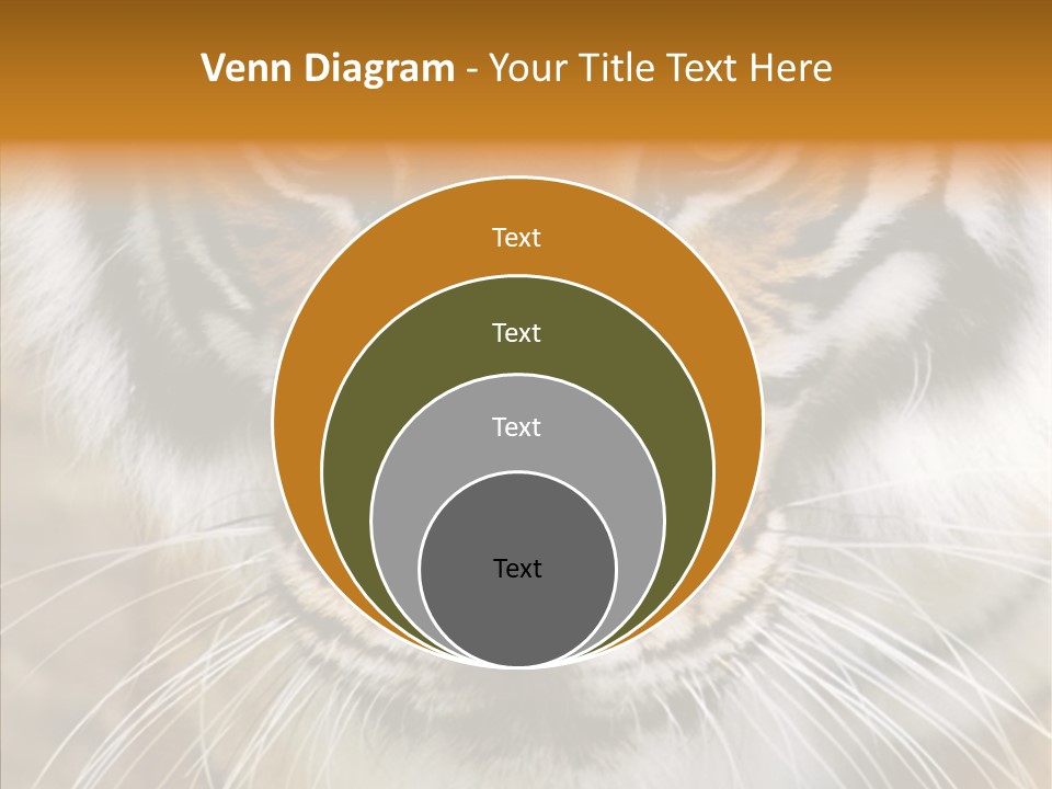 Grandmother Assist Help PowerPoint Template